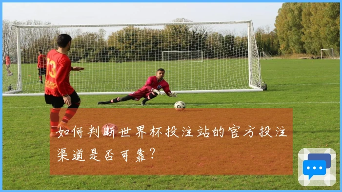 如何判断世界杯投注站的官方投注渠道是否可靠？