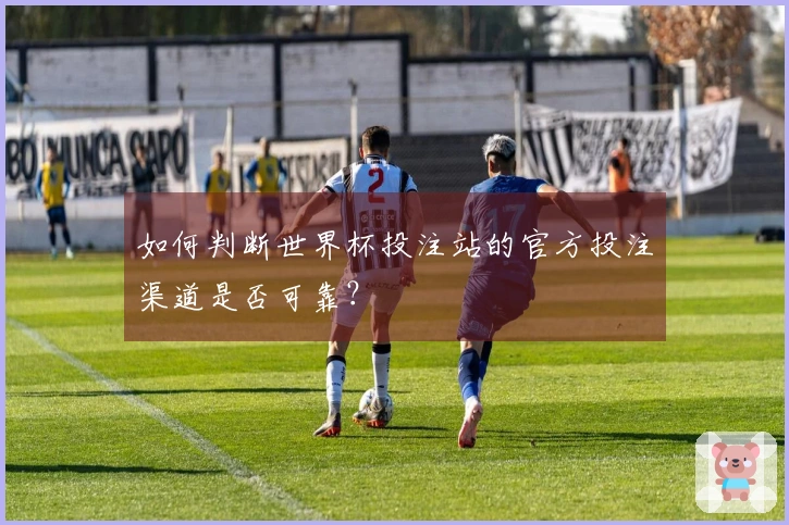 如何判断世界杯投注站的官方投注渠道是否可靠？