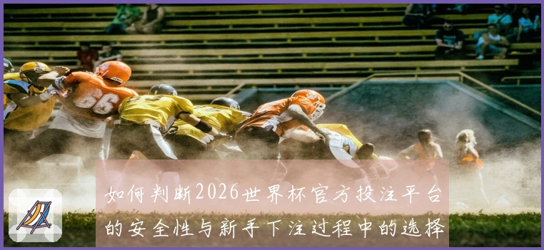 如何判断2026世界杯官方投注平台的安全性与新手下注过程中的选择要点