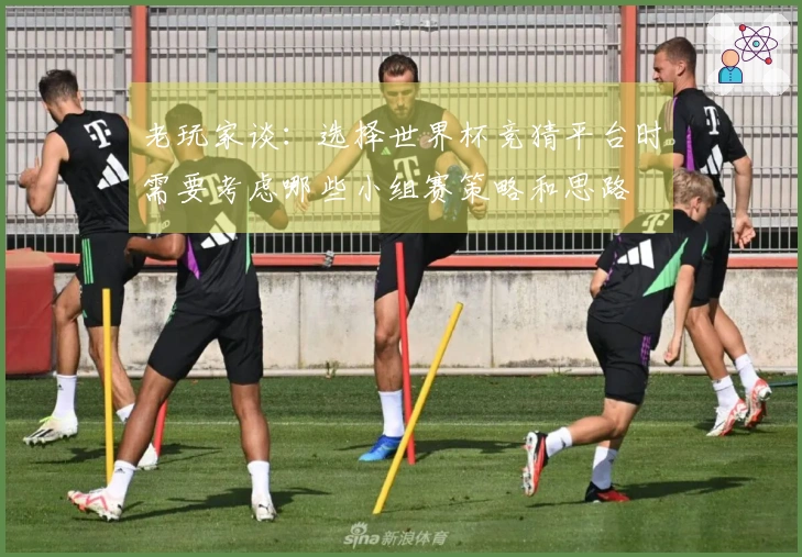 老玩家谈：选择世界杯竞猜平台时需要考虑哪些小组赛策略和思路