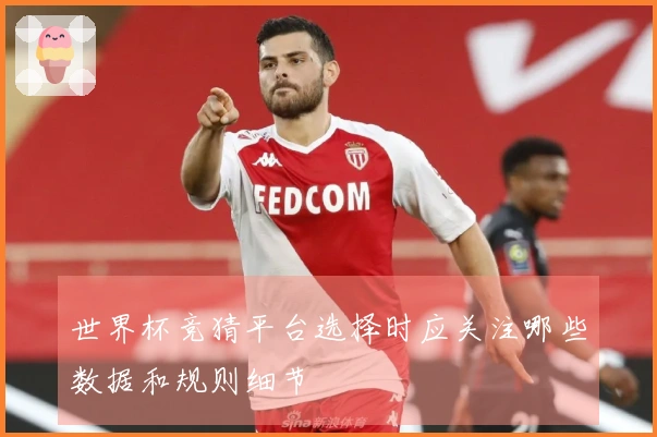 世界杯竞猜平台选择时应关注哪些数据和规则细节