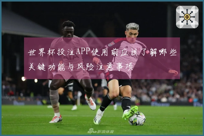 世界杯投注APP使用前应该了解哪些关键功能与风险注意事项
