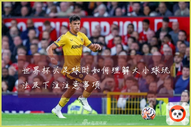 世界杯买足球时如何理解大小球玩法及下注注意事项