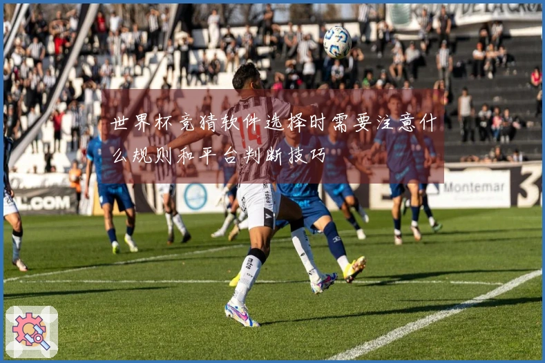 世界杯竞猜软件选择时需要注意什么规则和平台判断技巧