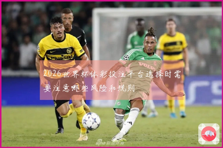 2026世界杯体彩投注平台选择时需要注意哪些风险和规则