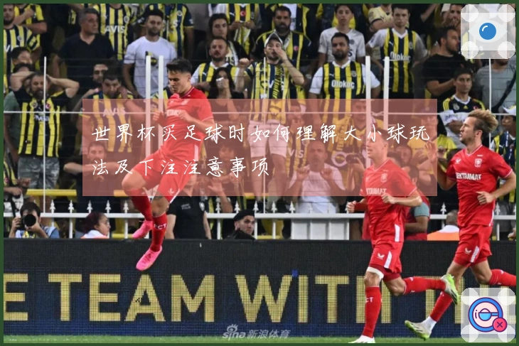 世界杯买足球时如何理解大小球玩法及下注注意事项