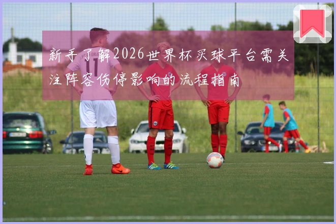 新手了解2026世界杯买球平台需关注阵容伤停影响的流程指南