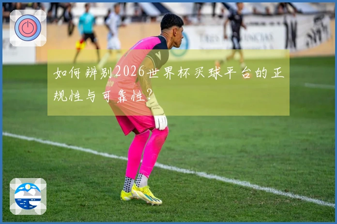 如何辨别2026世界杯买球平台的正规性与可靠性？