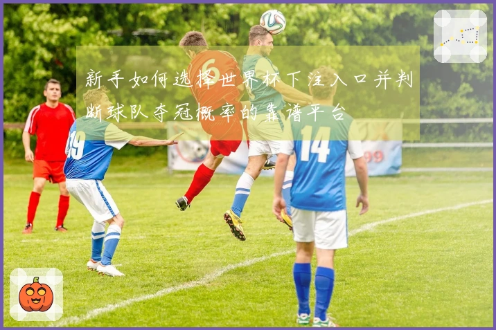新手如何选择世界杯下注入口并判断球队夺冠概率的靠谱平台