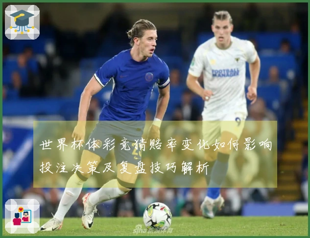 世界杯体彩竞猜赔率变化如何影响投注决策及复盘技巧解析