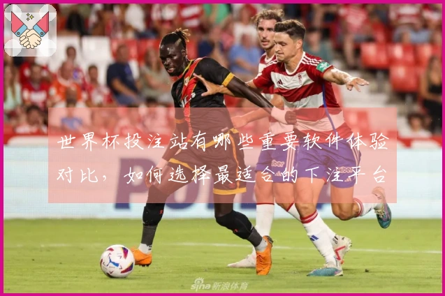 世界杯投注站有哪些重要软件体验对比，如何选择最适合的下注平台？