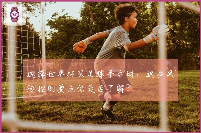 选择世界杯买足球平台时，这些风险控制要点你是否了解？