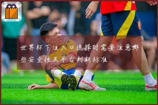 世界杯下注入口选择时需要注意哪些安全性及平台判断标准