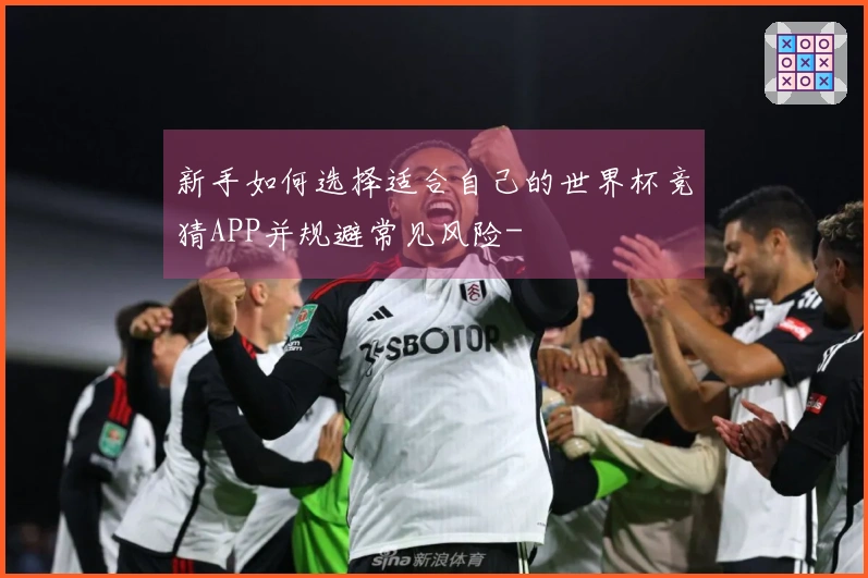 新手如何选择适合自己的世界杯竞猜APP并规避常见风险-