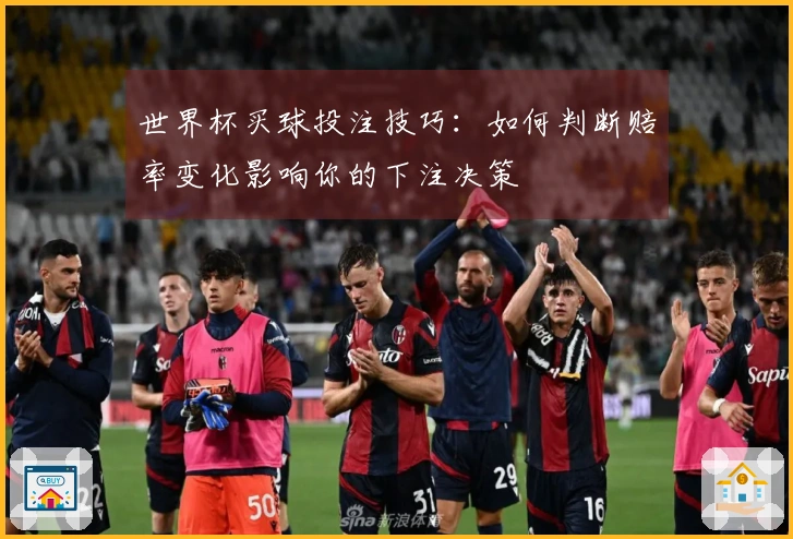 世界杯买球投注技巧：如何判断赔率变化影响你的下注决策