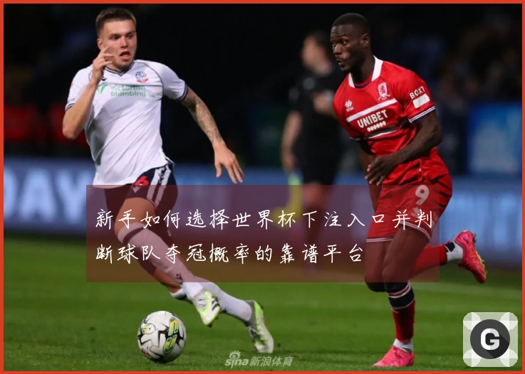 新手如何选择世界杯下注入口并判断球队夺冠概率的靠谱平台