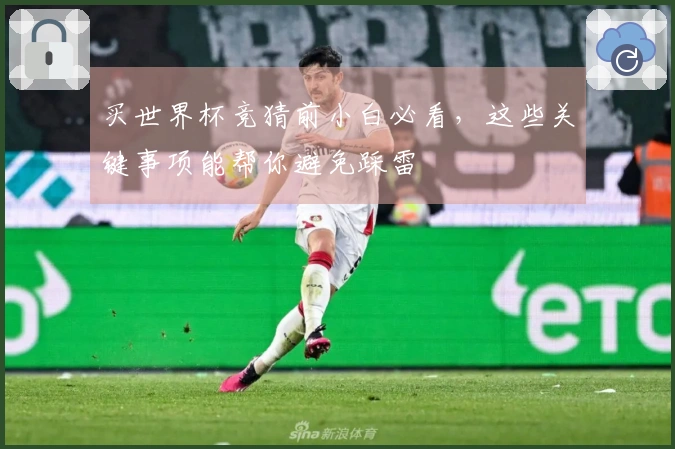 买世界杯竞猜前小白必看，这些关键事项能帮你避免踩雷