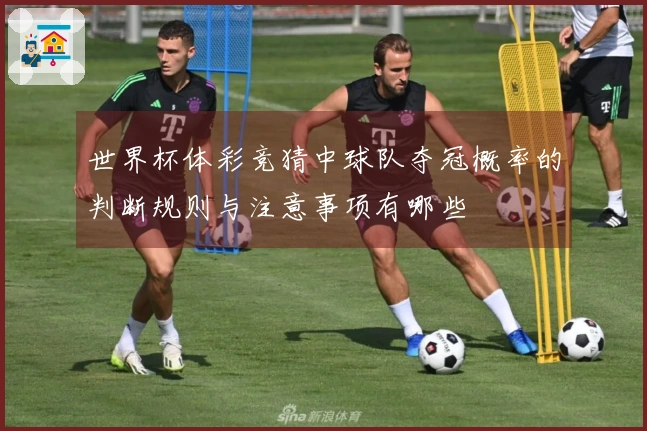 世界杯体彩竞猜中球队夺冠概率的判断规则与注意事项有哪些