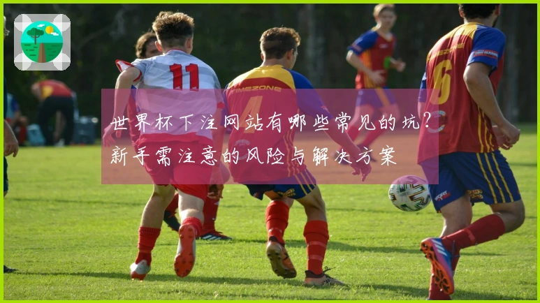 世界杯下注网站有哪些常见的坑？新手需注意的风险与解决方案