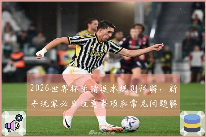 2026世界杯竞猜返水规则详解，新手玩家必看注意事项和常见问题解析
