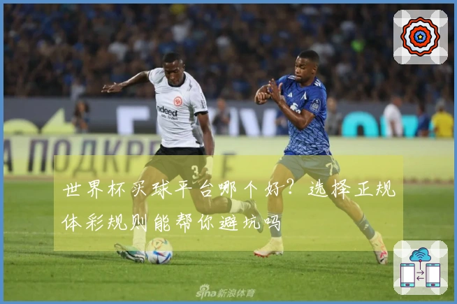 世界杯买球平台哪个好？选择正规体彩规则能帮你避坑吗